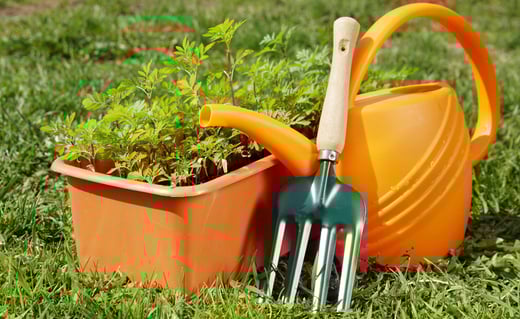 Sådan-passer-du-haven-i-juli